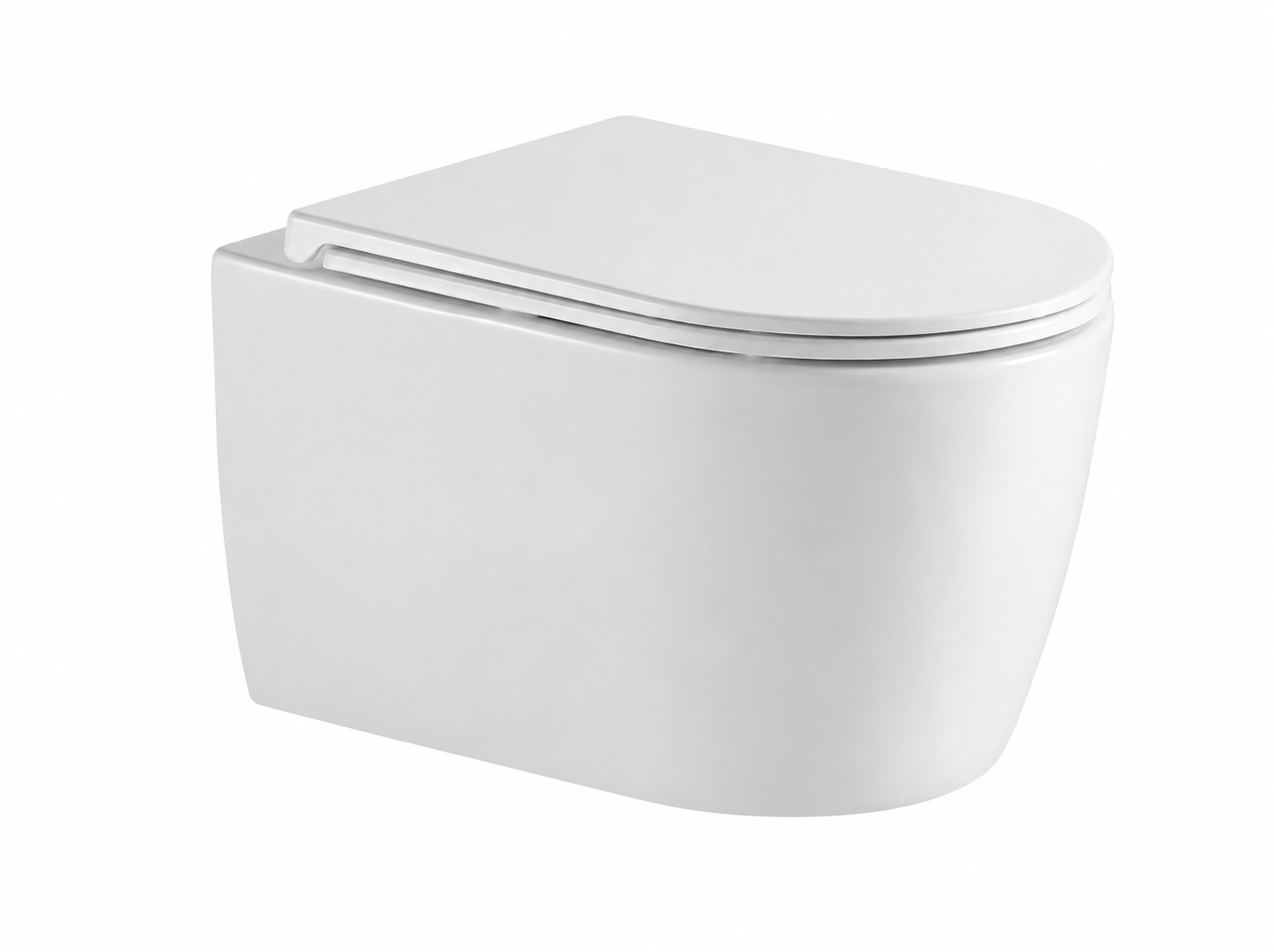 Ceramic WC